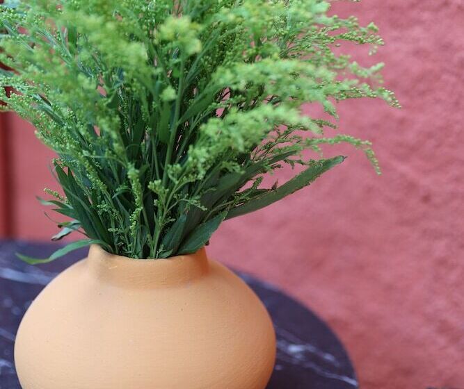 בית מלון כפרי Bambu Alacati