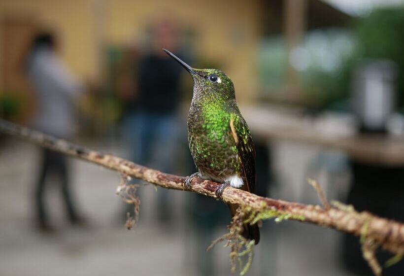 هتل Birdwatchers House Y Lodge