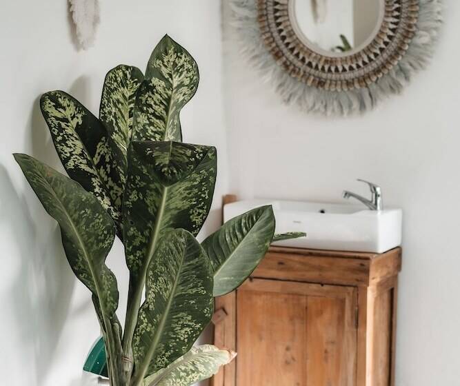 فندق Blue Ocean Bingin