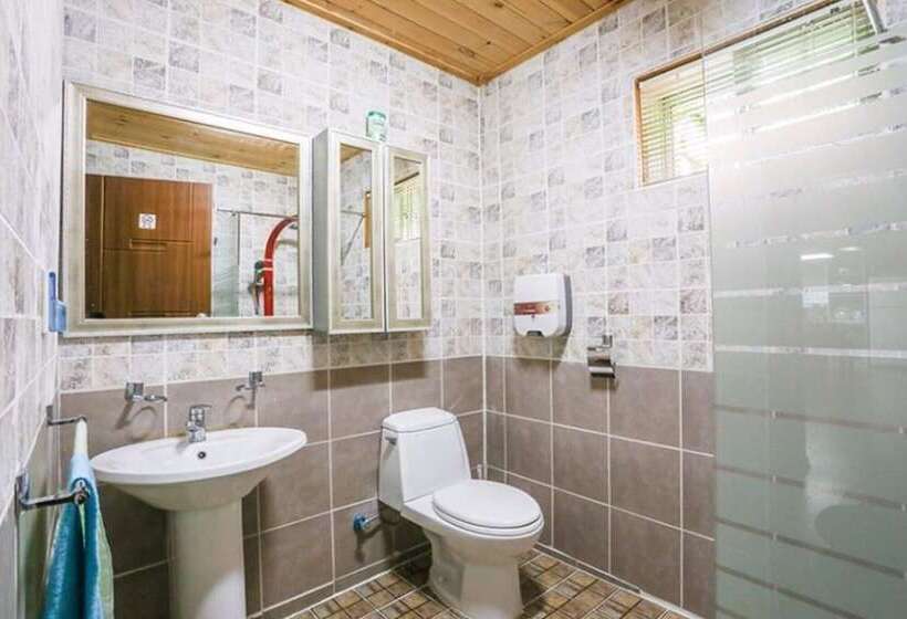 Отель Boeun Songnisan Sujeong Pension