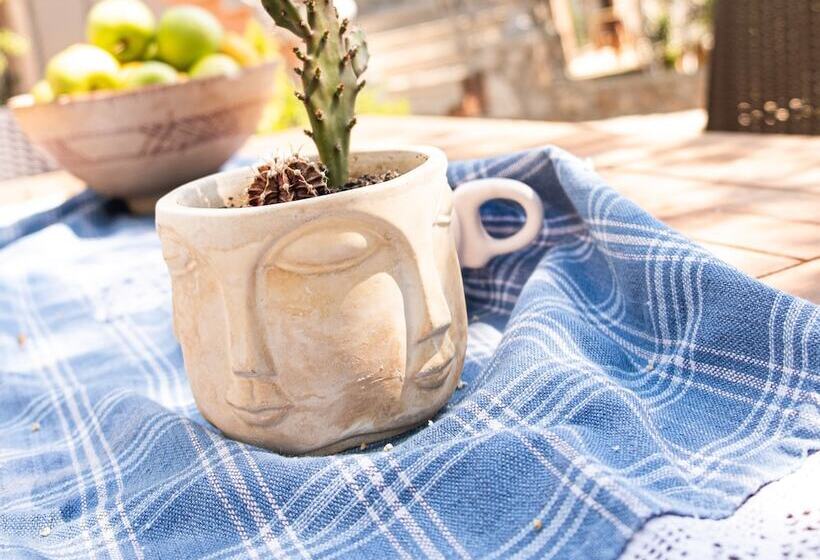 בית מלון כפרי Casa Di Pietra