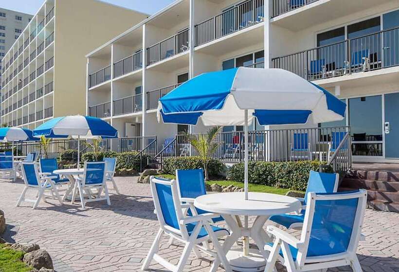 فندق Dolphin Beach Club