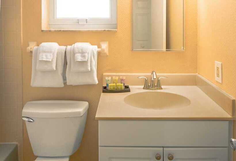 فندق Dolphin Beach Club