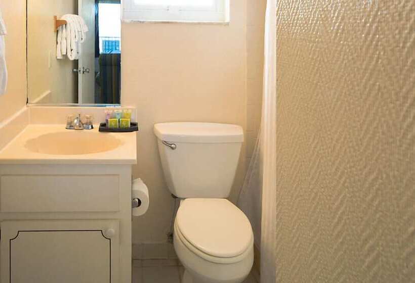 فندق Dolphin Beach Club