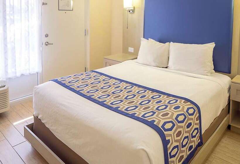 فندق Dolphin Beach Club