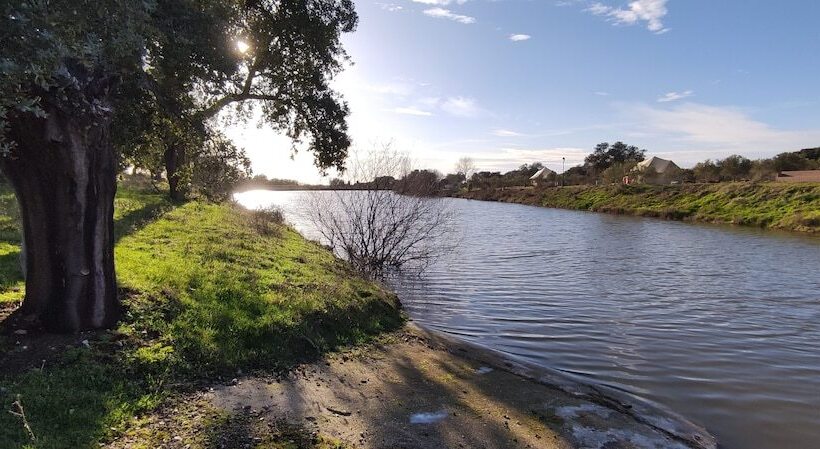 فندق El Toril Glamping Experience