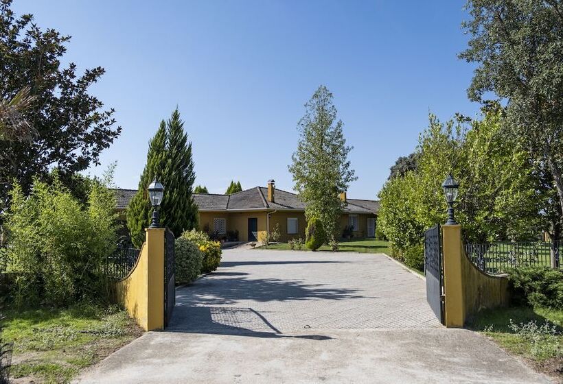 فندق El Toril Glamping Experience