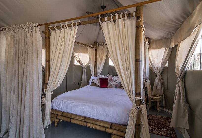 בית מלון כפרי El Toril Glamping Experience