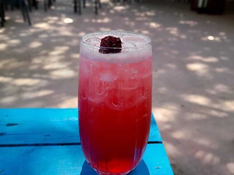 בית מלון כפרי Endemik Bungalov