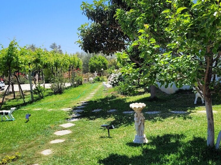 Szálloda Grape Datça