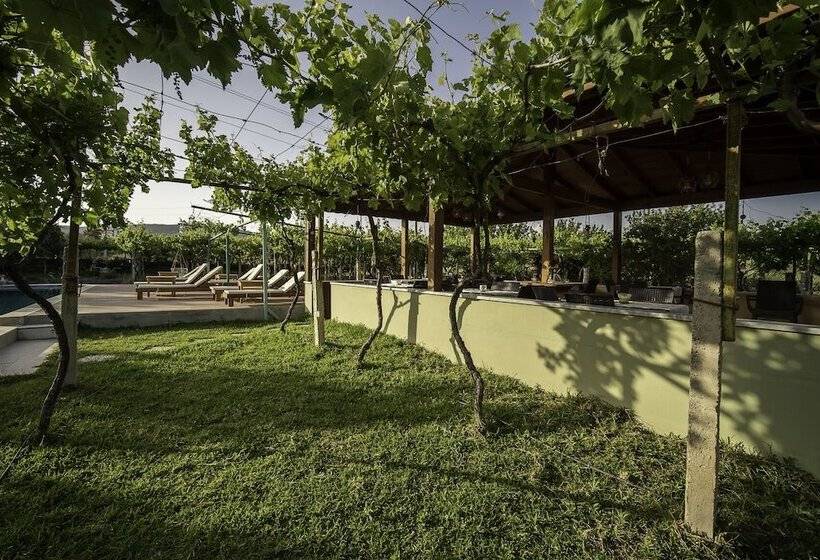 Отель Grape Datça