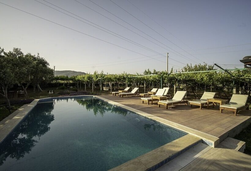 Отель Grape Datça