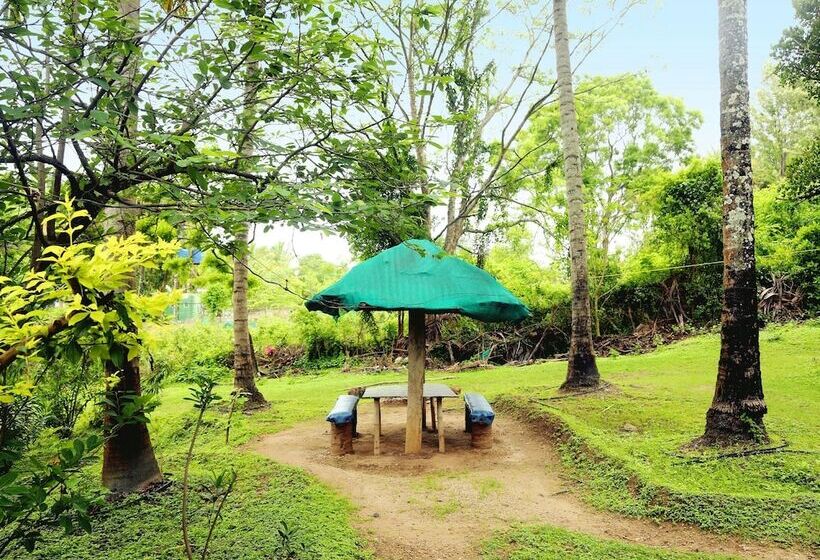 Отель Jungle Paradise Farm & Guest House