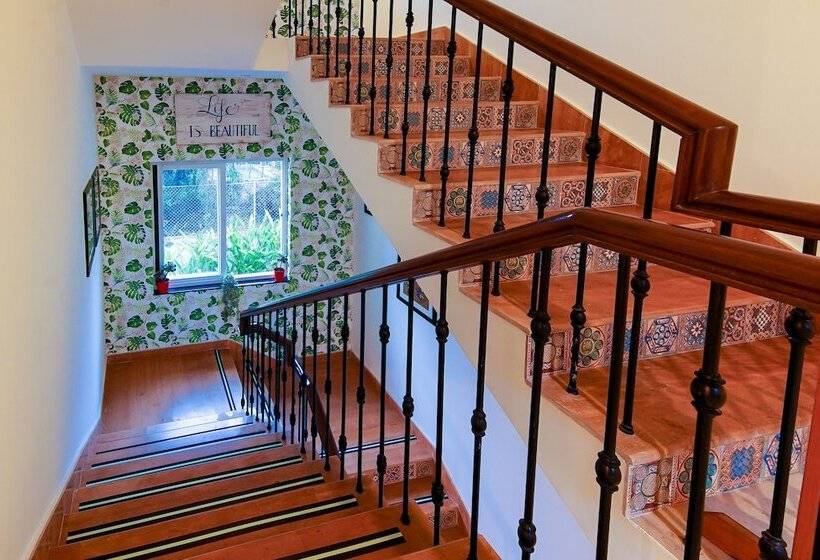 酒店 Justa Casa Frangipani Assagao, Goa