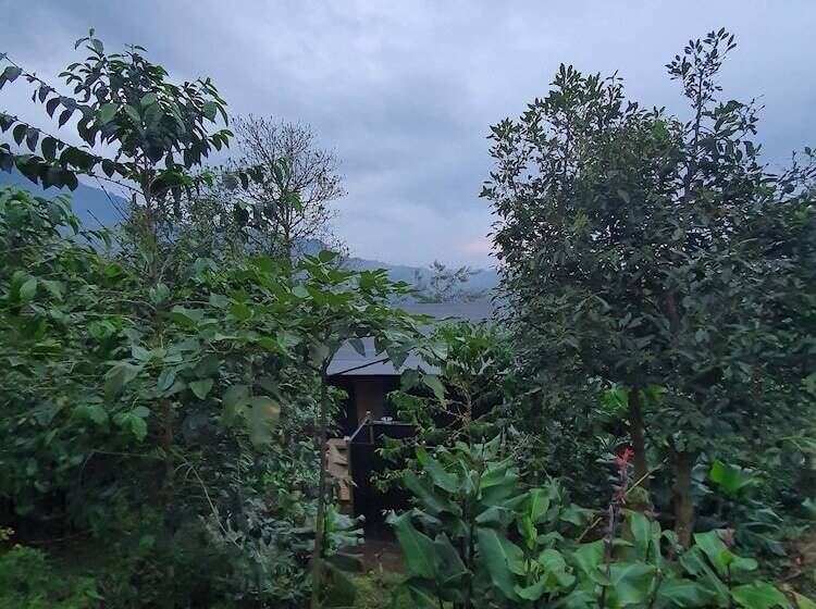 فندق La Palma Y El Tucan   Coffee & Nature