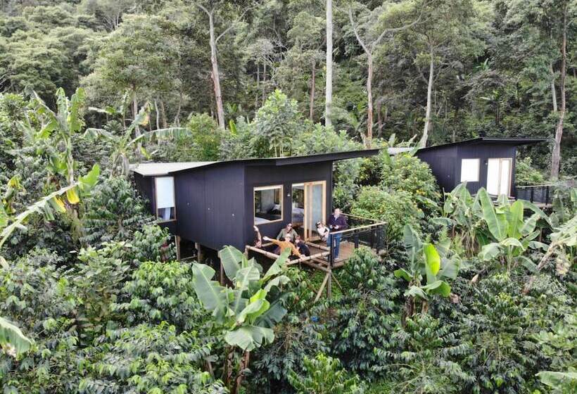 בית מלון כפרי La Palma Y El Tucan   Coffee & Nature