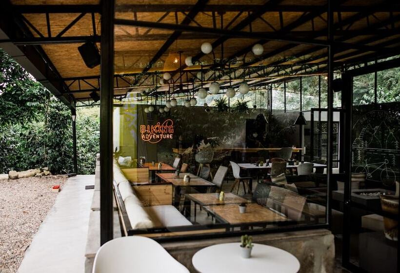 בית מלון כפרי La Palma Y El Tucan   Coffee & Nature