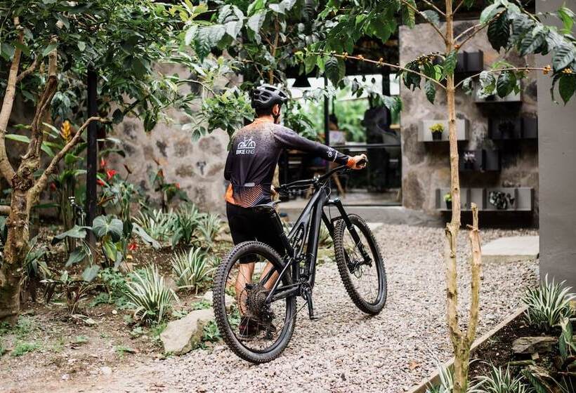 בית מלון כפרי La Palma Y El Tucan   Coffee & Nature