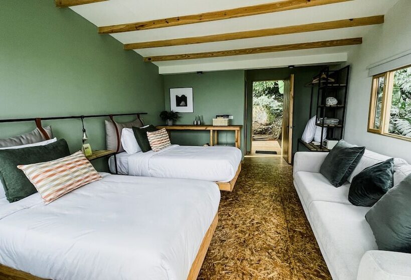 בית מלון כפרי La Palma Y El Tucan   Coffee & Nature