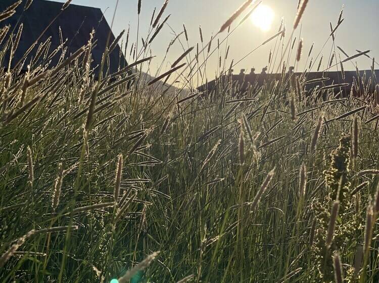 ホテル Millz Manor At Fall River Millz