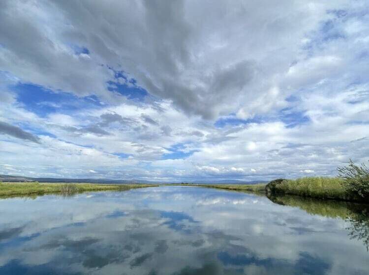 ホテル Millz Manor At Fall River Millz