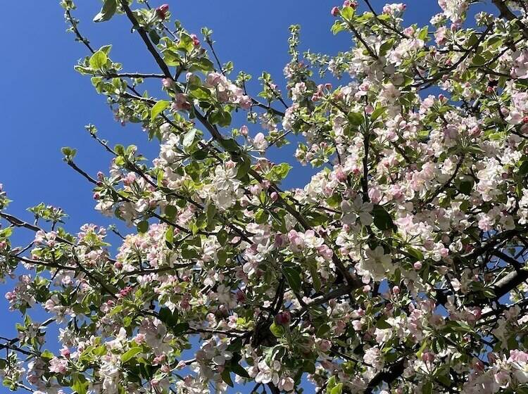 ホテル Millz Manor At Fall River Millz