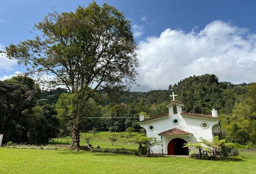 فندق Momotus Cocora