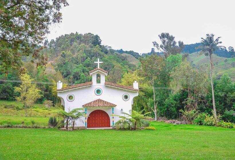 فندق Momotus Cocora