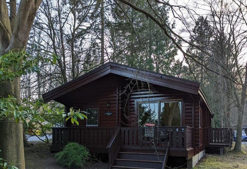 Отель Pineshadow Lodge Dog Friendly, Kenwick Park, Louth