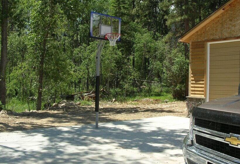 Отель Pineview Lodge
