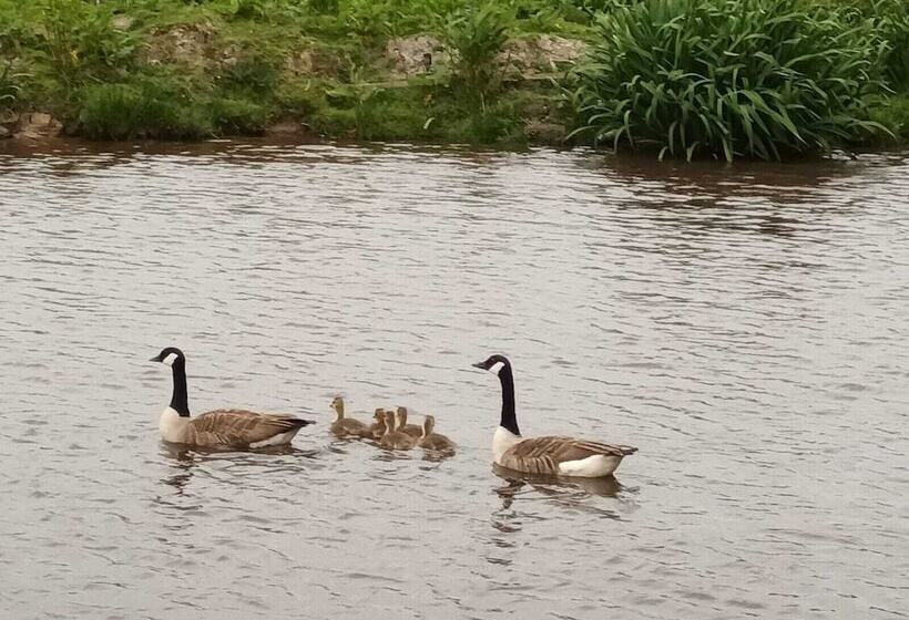 Отель Pretty & Cosy Boat In Stunning Valley View, Wales
