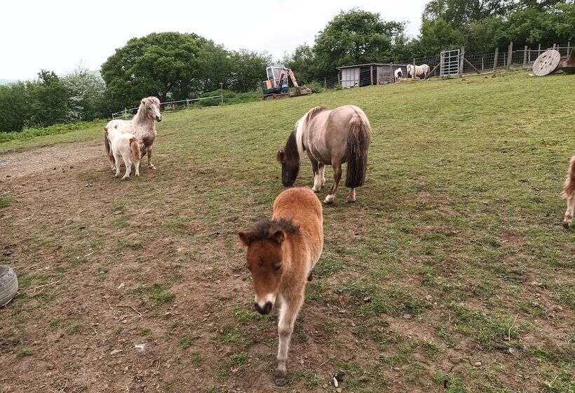 Отель Pretty & Cosy Boat In Stunning Valley View, Wales