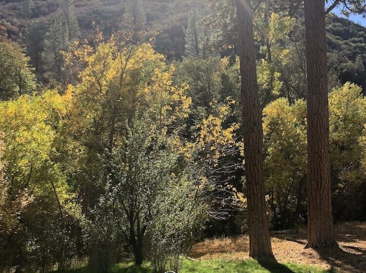 호텔 Quiet Mind Lodge, Retreat & Spa Sequoias