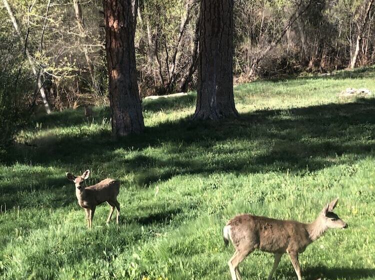 호텔 Quiet Mind Lodge, Retreat & Spa Sequoias