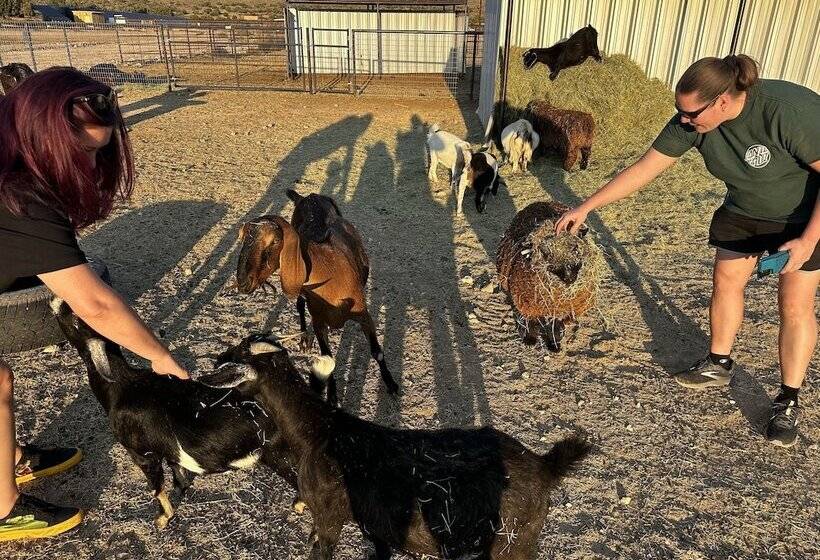 교외 호텔 Grand Canyon Glamping Resort