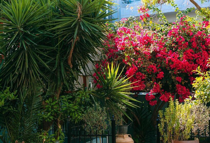 酒店 Santa Marina Unique