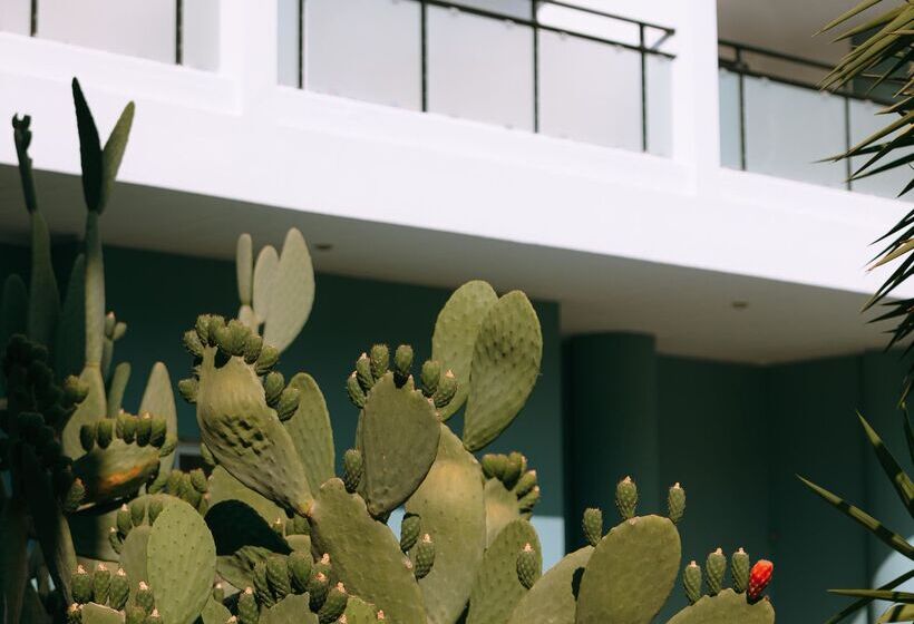 酒店 Santa Marina Unique