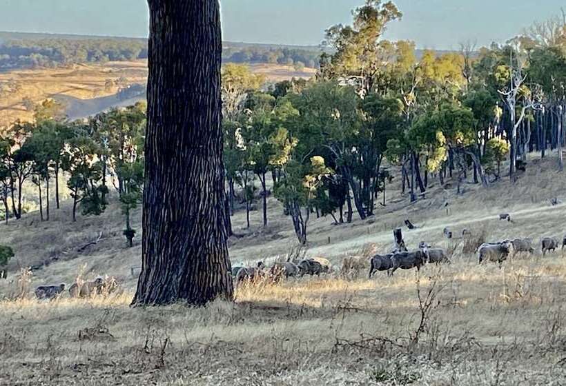 Отель Serenity Gully