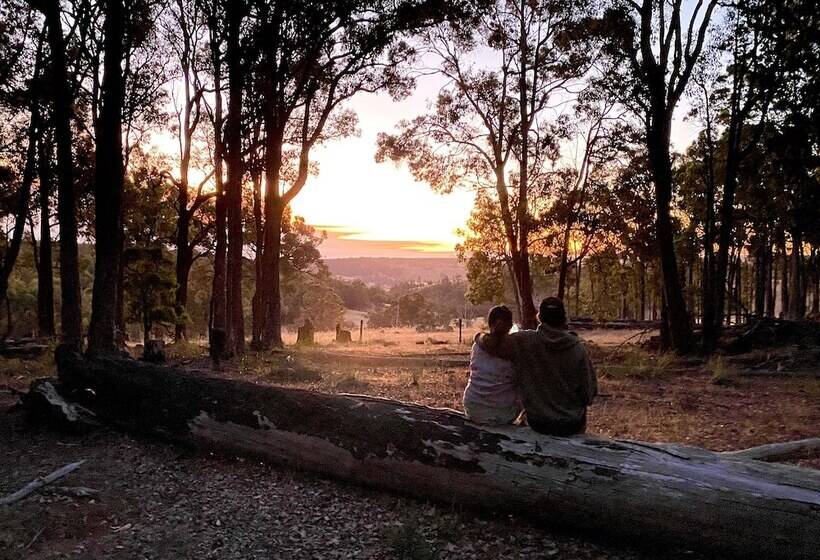 Отель Serenity Gully