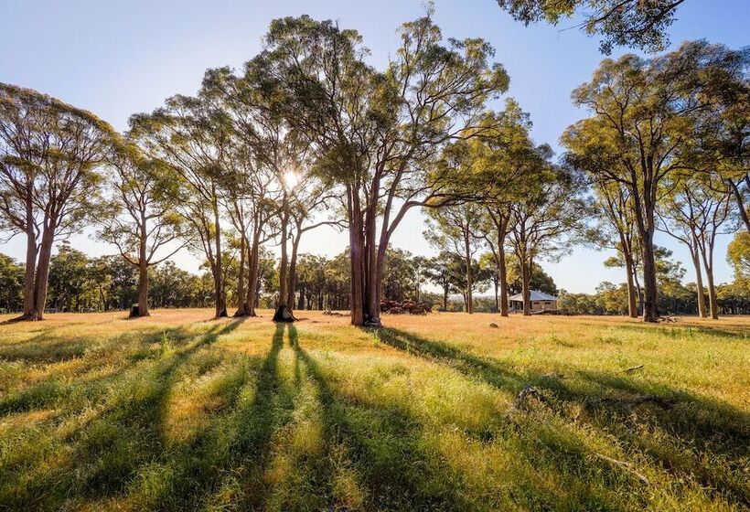 Отель Serenity Gully