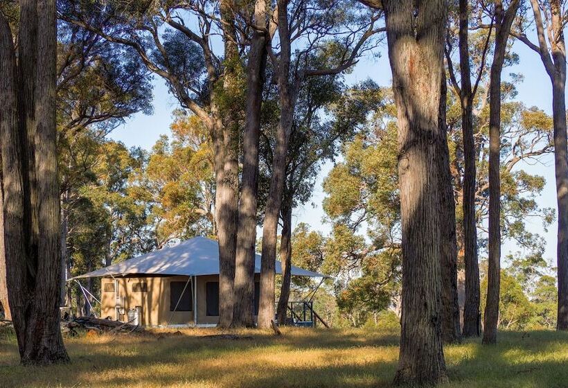 Отель Serenity Gully