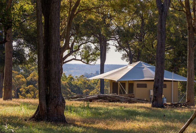 Отель Serenity Gully