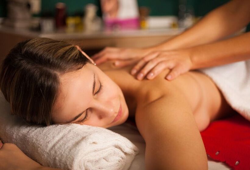 Отель Spa Piscine Le Petit Castel