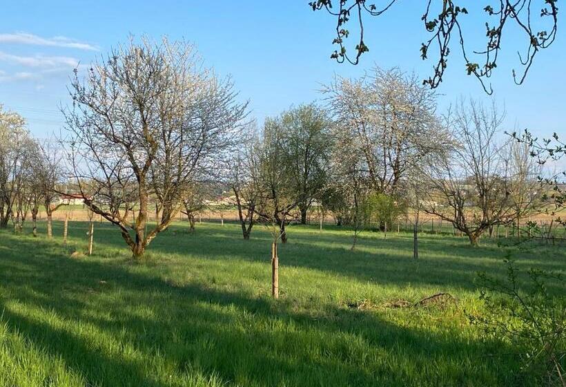 호텔 Villa Quintana