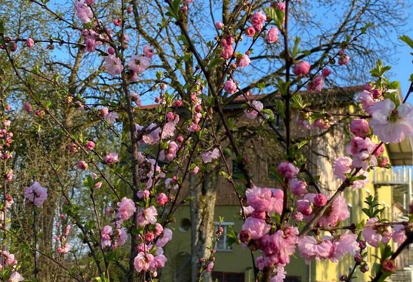 호텔 Villa Quintana