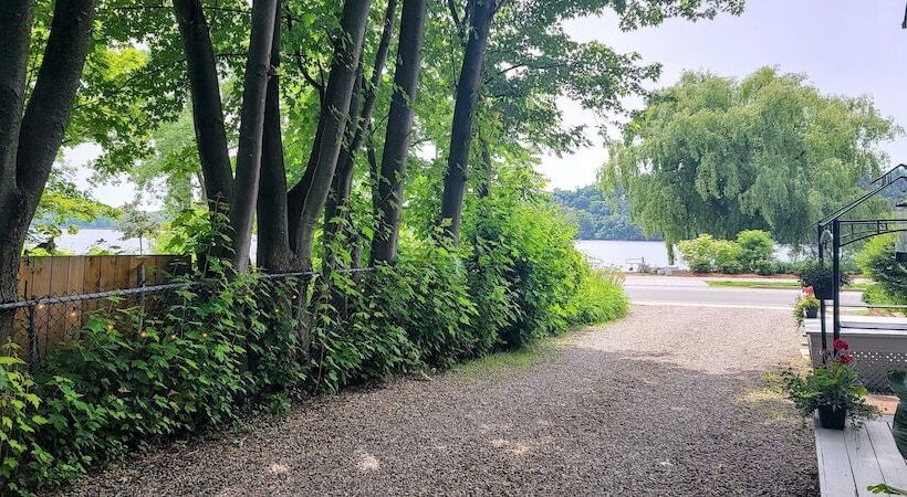 Kokomo Inn   Tropical Riverfront B&b