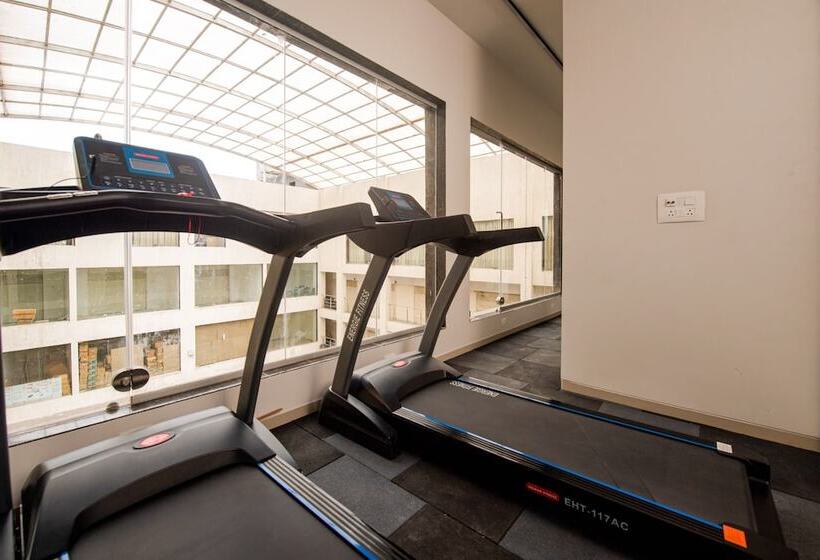 Mastiff Hotel Ankleshwar