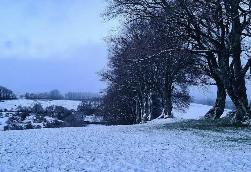 Paradise Position On Exmoor National Park