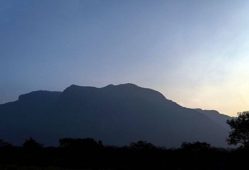 Пансион Bamboo Banks