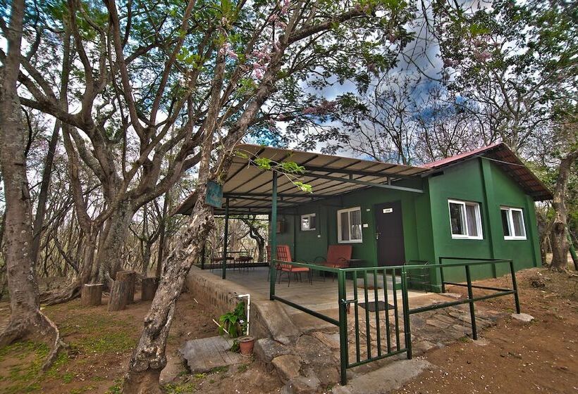 Пансион Bamboo Banks